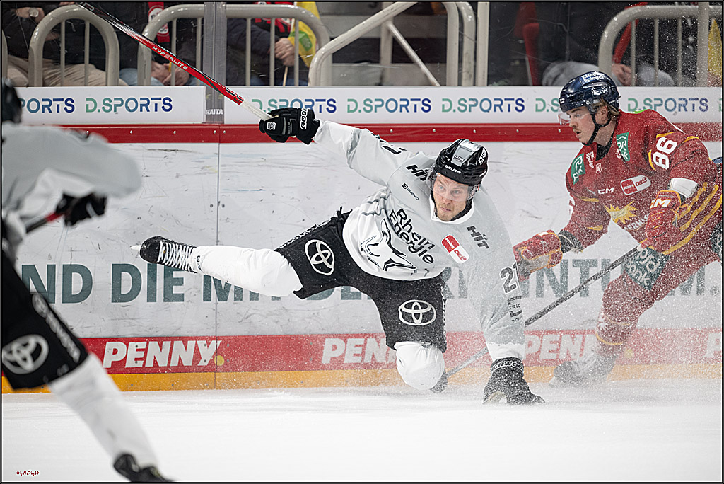 PENNY DEL 1; Düsseldorfer EG - Kölner Haie; Düsseldorf, 24.01.2025
